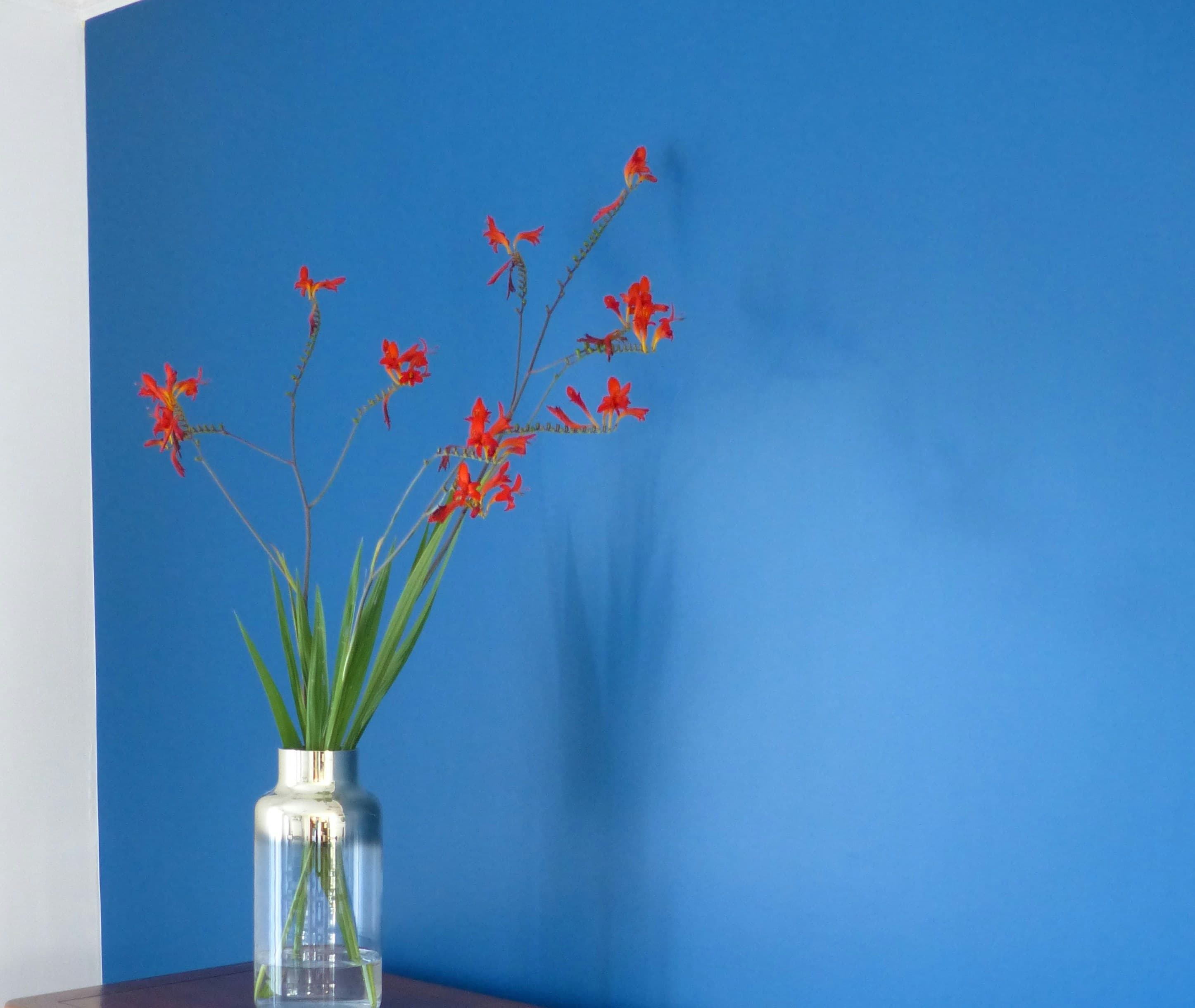 Decorative Paints