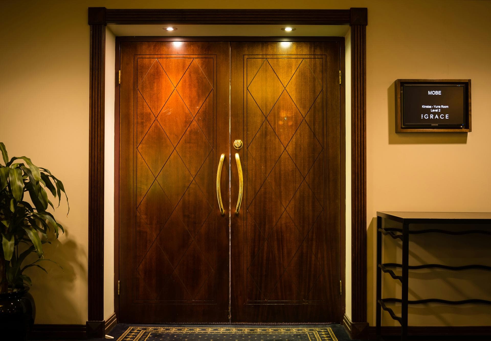 Timber Wooden Door