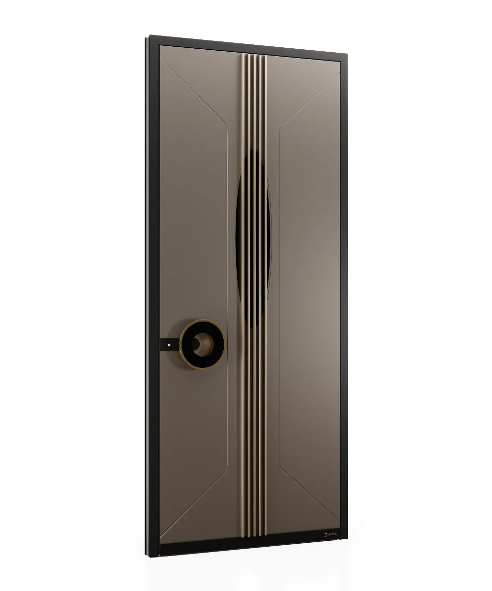 Modern Door Design | Sparkling Grey RAL 9005 with Anodic Bronze Details & Black Hardware GR-DR-ALD-1525